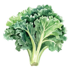 Watercolor Illustration of Fresh Green Kale with Detailed Leaf Veins