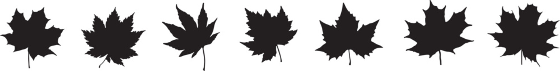 maple leaf, silhouette, vector, leaves, black, isolated, autumn, fall, nature, foliage, botanical, 