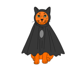 Obraz premium halloween cat with pumpkin