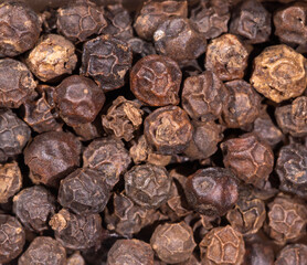 black peppercorns background