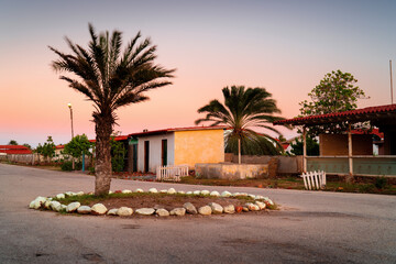 South American coast with palm trees at sunset. Orange sky during sunset.	

