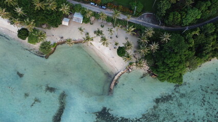 white sand beach and coconut trees seen from above the drone karimun jawa indonesia