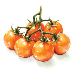 Watercolor Painting of Ripe Orange Cherry Tomatoes on Green Stems