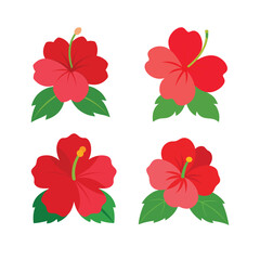 set of red flowers