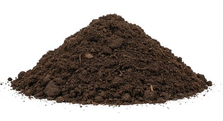 A rich mound of dark brown soil, isolated on white background