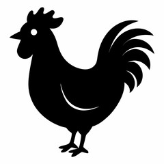 rooster vector illustration