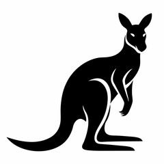 kangaroo vector illustration