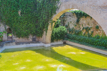 View of Mallorca Cathedral under Clear Blue Sky