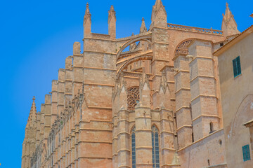 View of Mallorca Cathedral under Clear Blue Sky