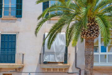 Palm Leaves Framing Open Windows in Sunny Mallorca