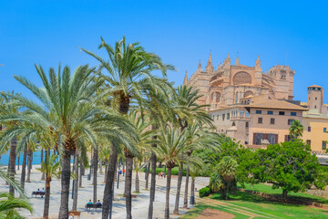 View of Mallorca Cathedral under Clear Blue Sky