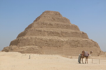 camel in the step pyramid of djoser in egypt