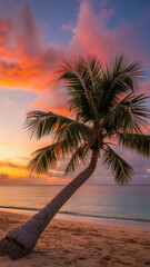 Leaned palm tree on beach at twilight with vivid pink and orange clouds over calm sea and sand
