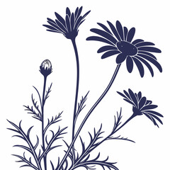 ursinia with leaves