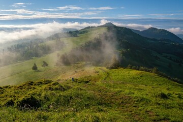 Green mountain meadows with cattle. Mountain pass in Pieniny in Poland. Beautiful, dynamic and hazy sky over the mountains.Discover the beauty of spring's lush landscape and mountains.