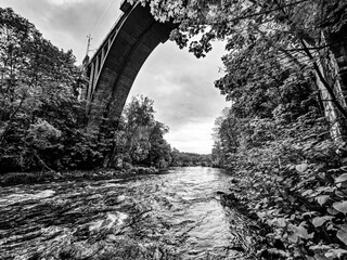  Concrete Railway Bridge in the Forest