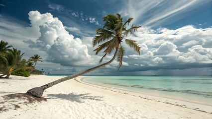 Stunning tropical beach scene with leaning palm tree crystal clear water and white sand