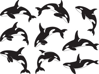 Black and white killer whale orca silhouettes vector set for ocean design