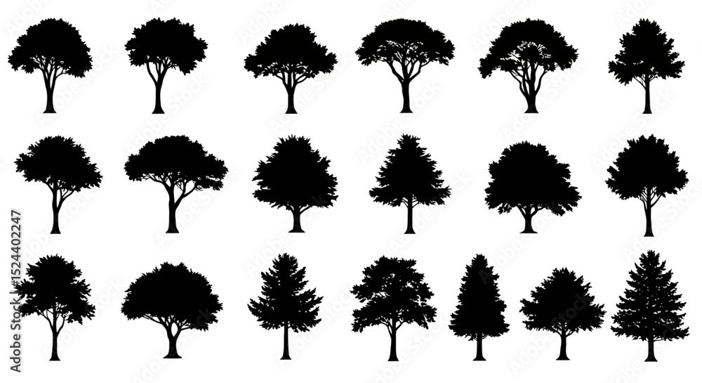 Poster exploring various forest trees a visual journey through diverse silhouettes and shapes in nature's r