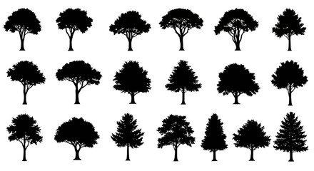 Exploring Various Forest Trees A Visual Journey Through Diverse Silhouettes and Shapes in Nature's Realm of Greenery