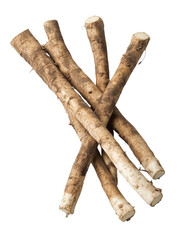Fresh burdock root sticks arranged on transparency background, showing rough brown skin and natural texture, commonly used in Asian cuisine and herbal medicine
