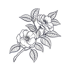 Fototapeta premium Single detailed flower icon for design projects