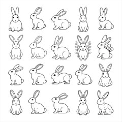 watercolor rapid animal illustration