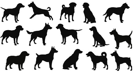 Exploring the Diverse World of Canine Companions A Comprehensive Overview of Different Dog Breeds and Their Unique Characteristics Traits