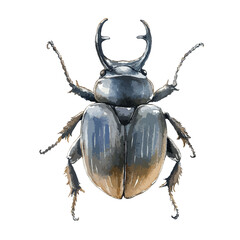 Watercolor Stag Beetle with Prominent Mandibles and Detailed Leg Segments