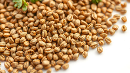 Fototapeta premium Detailed Coriander Seeds Close-Up on White Background Emphasizing Their Organic Texture and Spice Essence