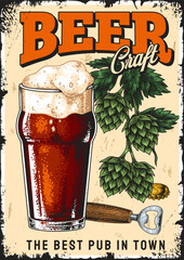 Craft beer with hops illustration at local pub