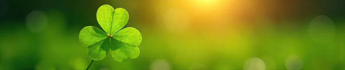 Poster A four-leaf clover bathed in sunlight, symbolizing unexpected fortune and serendipitous events  a concept of divine intervention and blessed chance , sunbeam, magic