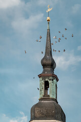 Ein Vogelschwarm umkreist den Turm der denkmalgeschützten Stadtkirche "St. Nikolai" in Lübbenau