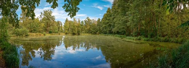 See am Zusammenfluss von "Bürgerfließ" und "Lehder Fließ" im Spreewald zwischen Lübbenau und der "Wotschofska" - Panorama aus 11 Bildern