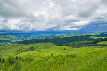 Green hills with scattered sheep and a forest, wide valley and dark hills in the background, dark and cloudy sky. Manawatu region, North Island, close to Fielding, New Zealand.
