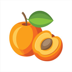  Apricot Icons Whole and Cut Fruit Design