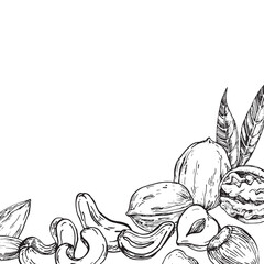 Nuts vector frame hand drawn with ink. Template with kernels and nutshells of cashew, almond, hazelnut, walnut and peanut for label and textile design