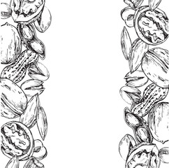 Nuts vector frame hand drawn with ink. Template with kernels and nutshells of cashew, pistachio, almond, hazelnut, walnut and peanut for label and textile design