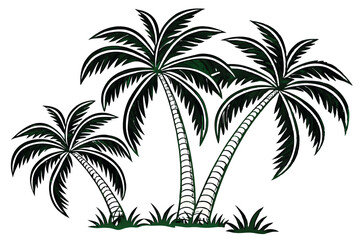 Hand drawn illustration of three lush tropical palm trees on a white background