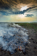 smoke over the field