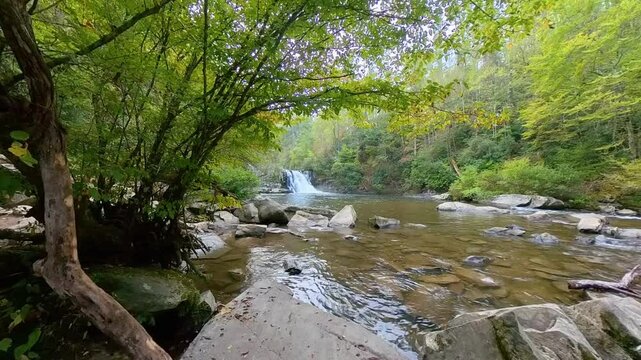 Abrams Falls Tumbles into Pool in Great Smoky Mountains National Park