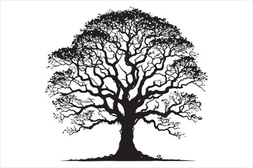 Fototapeta premium Majestic Oak Tree Silhouette Black and White Illustration