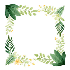 Fototapeta premium green botanical leaves frame border with natural foliage elements on transparent background for organic design templates