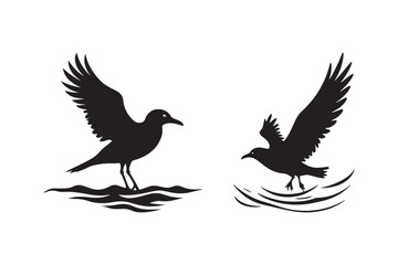 Seagull Silhouette Vector Art Birds Flying and Landing on Water
