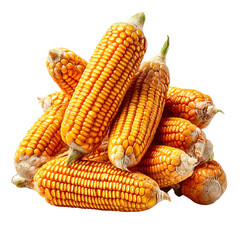 Whole yellow corn kernel cluster with vibrant shine and balanced lighting, isolated on a white or transparent background. Ideal for food packaging, advertising, and nutrition-themed designs.

