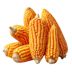 Fototapeta premium Whole yellow corn kernel cluster with vibrant shine and balanced lighting, isolated on a white or transparent background. Ideal for food packaging, advertising, and nutrition-themed designs.