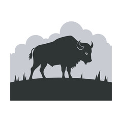 Bison Standing In Stormy Prairie Silhouette