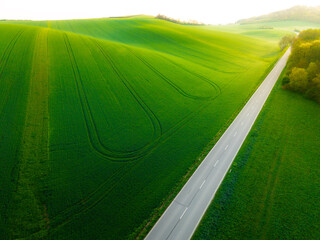 Scenic view of lush green fields and a winding road during golden hour