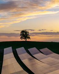 Solar panels reflect sunset near a single tree on a hilltop in a peaceful landscape