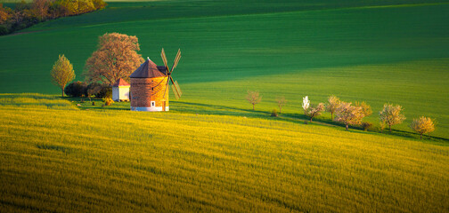 Windmill in Moravia surrounded by blooming fields and trees during golden hour